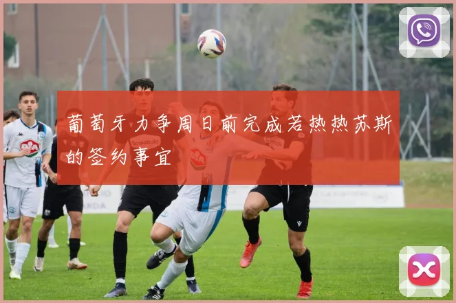 葡萄牙力争周日前完成若热热苏斯的签约事宜